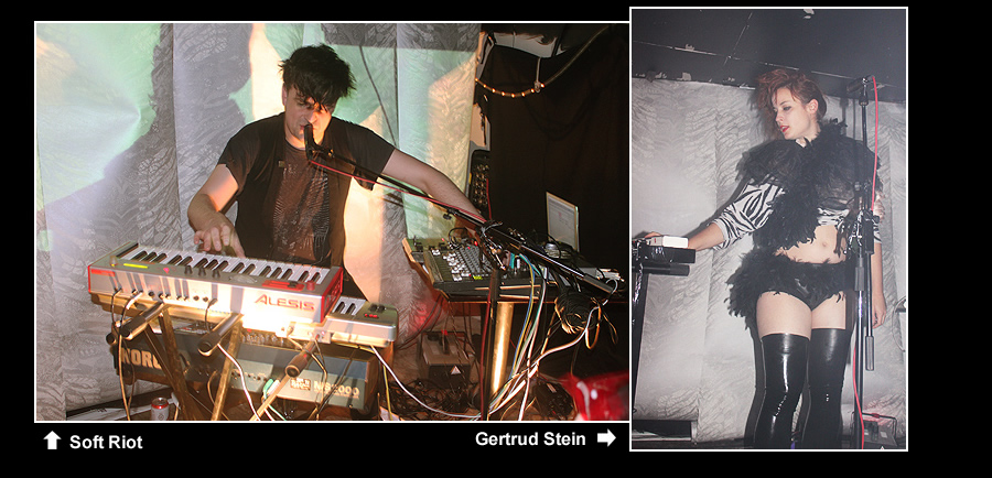 Soft Riot - Gertrud Stein