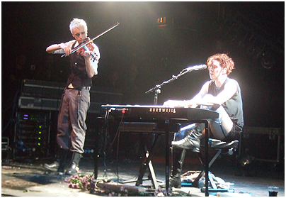 Amanda Palmer
