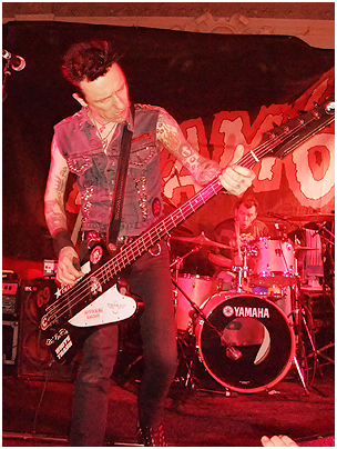The Vibrators