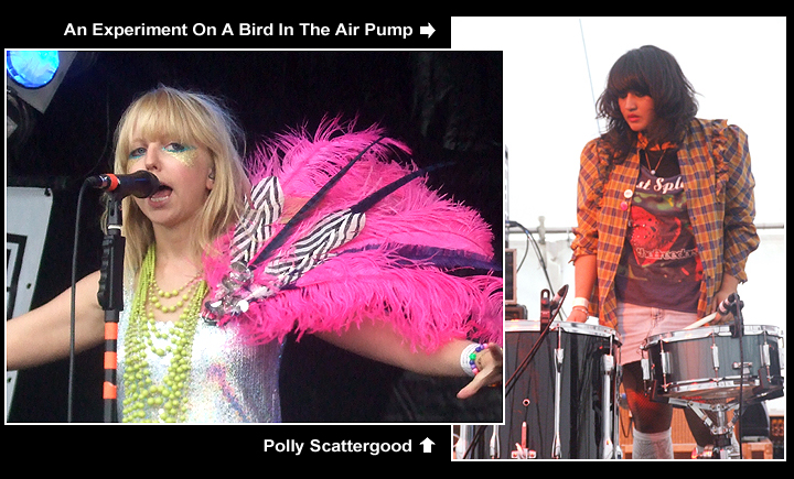 Polly Scattergood / An Experiment On A Bird In The Air Pump