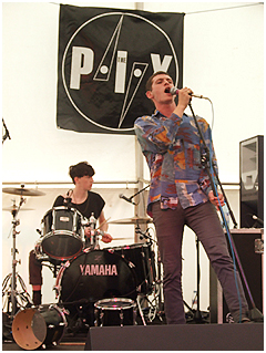 Wild Palms