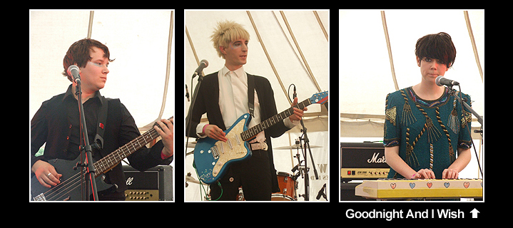 Goodnight And I Wish