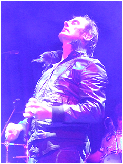 Peter Murphy