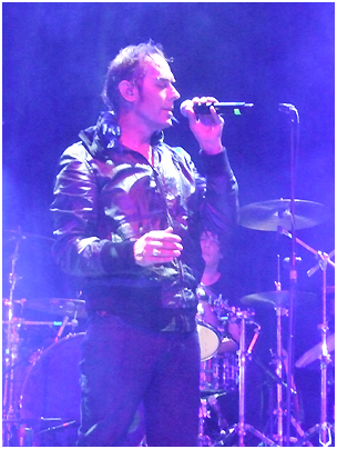 Peter Murphy