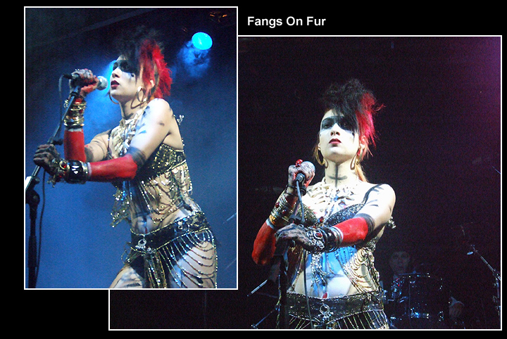 Fangs On Fur