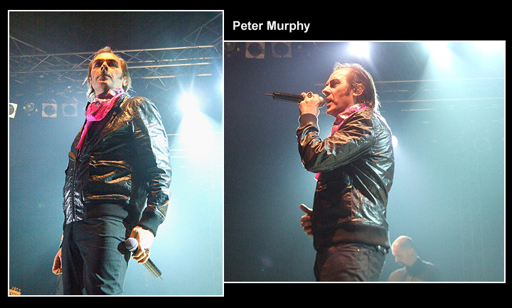 Peter Murphy