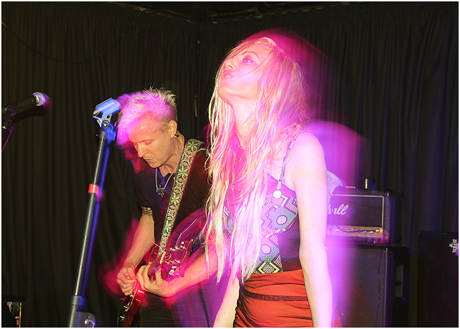Healthy Junkies