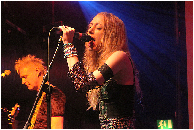 Healthy Junkies