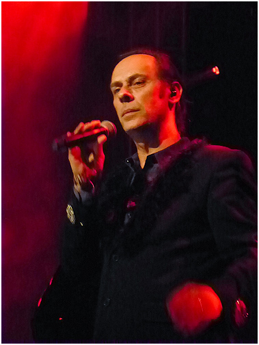 Peter Murphy