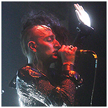 Petra Flurr