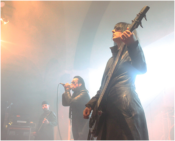 Merciful Nuns