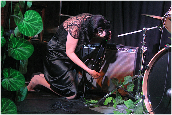 We Are Birds Of Paradise