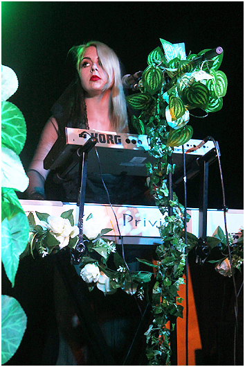 We Are Birds Of paradise