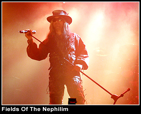 Fields Of The Nephilim