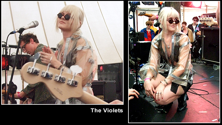 The Violets