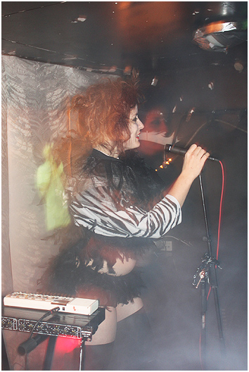Gertrud Stein