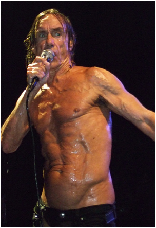 Iggy And The Stooges