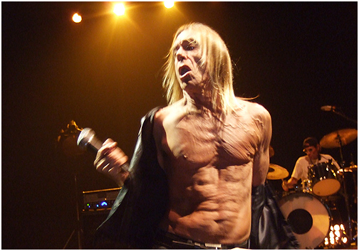 Iggy And The Stooges