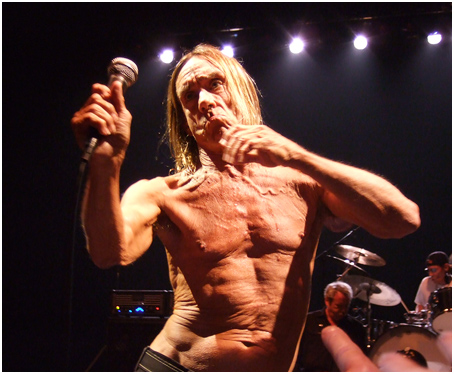 Iggy And The Stooges