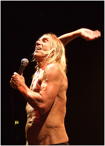 Iggy And The Stooges