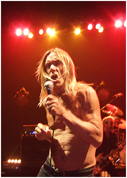 Iggy And The Stooges