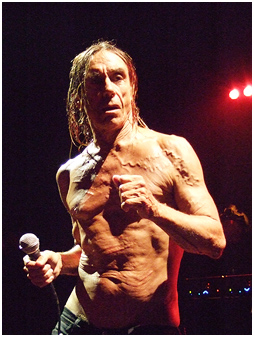 Iggy And The Stooges