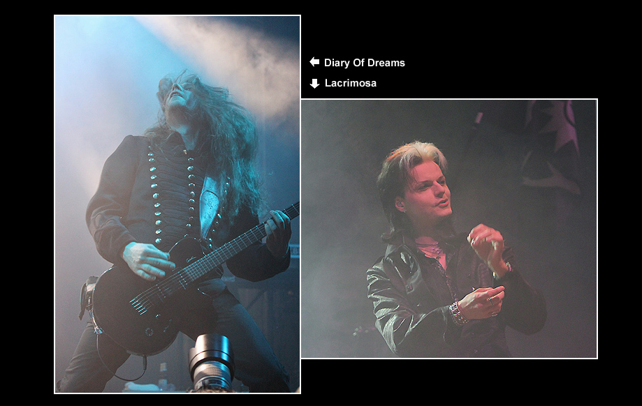 Diary Of Dreams, Lacrimosa