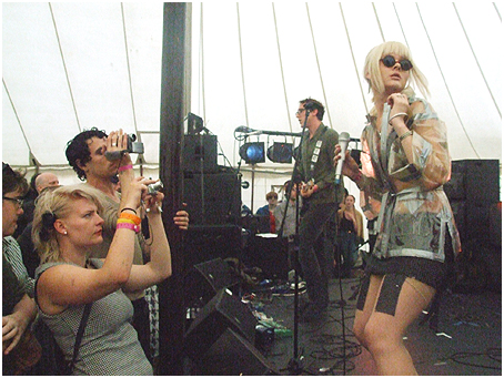 The Violets